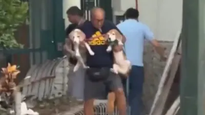 Hombre arriesga su vida para rescatar a sus mascotas tras sismo en Venezuela