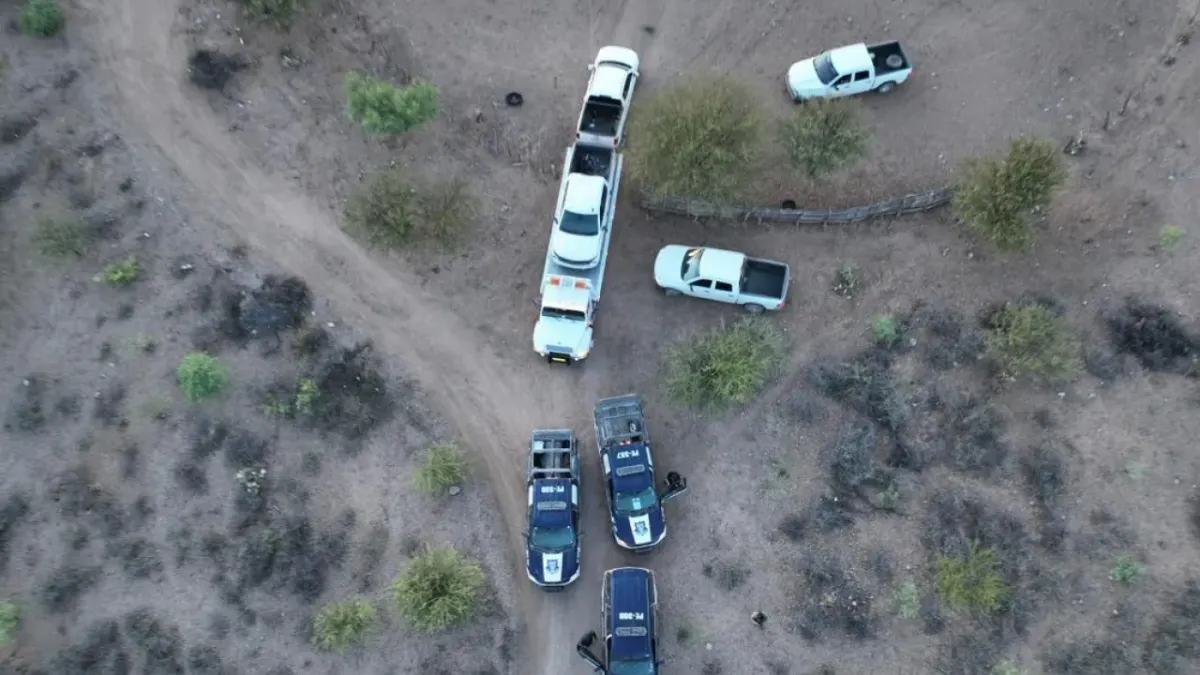 Aseguran explosivos y vehículos robados tras operativo en Chihuahua