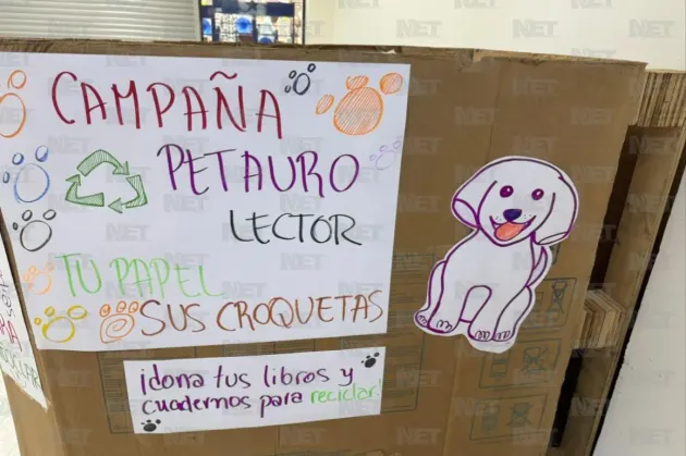Invitan a donar papel y libros en desuso para ayudar a albergues de mascotas