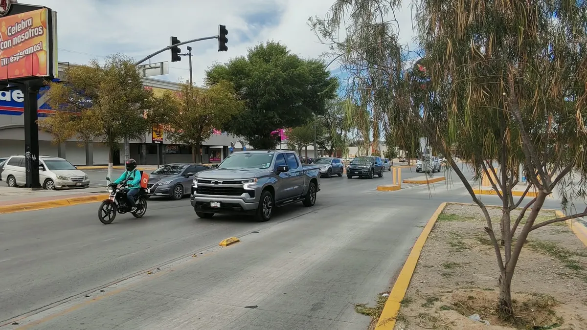 Árboles bloquean semáforos y elevan riesgo de choques en Paseo Triunfo