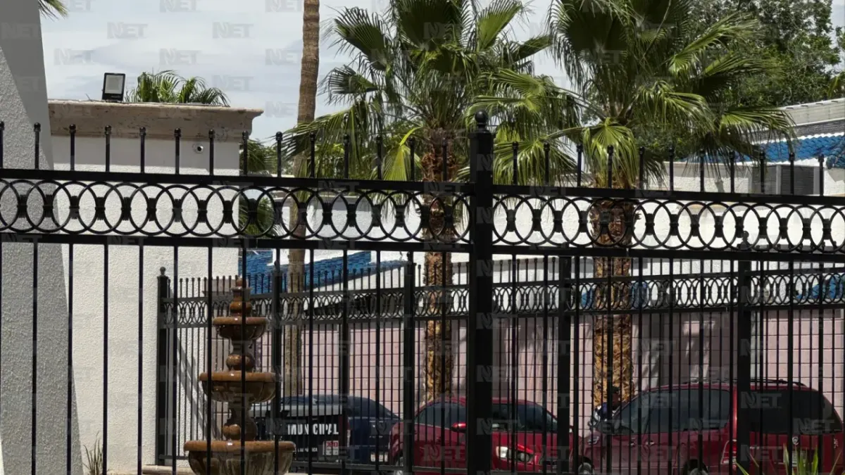 Fallece electrocutado mientras podaba una palmera