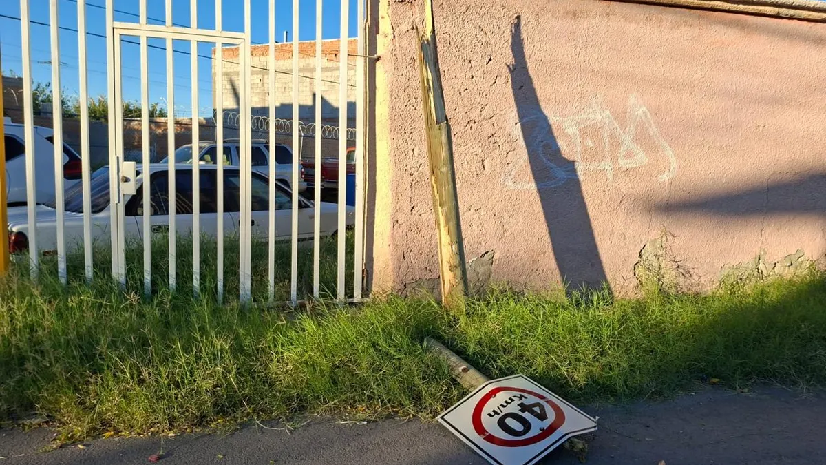 Poste caído bloquea vialidad en Jardines de San José