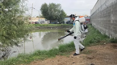 Intensifican nebulización en colonias de Juárez tras lluvias
