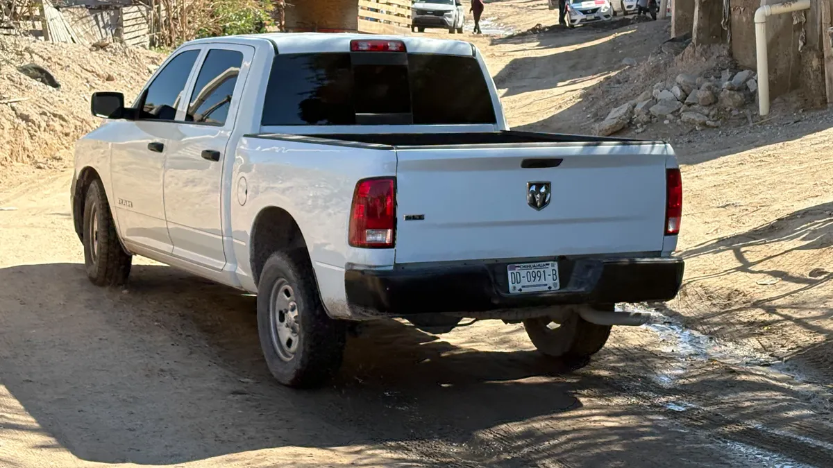 Vecino dispara contra perro tras ataque a sus gallinas en Puerto La Paz