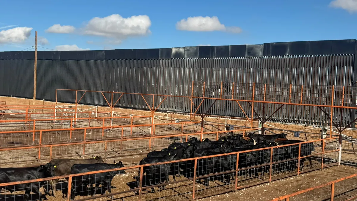 Chihuahua reanuda exportación de ganado a EU por San Jerónimo-Santa Teresa