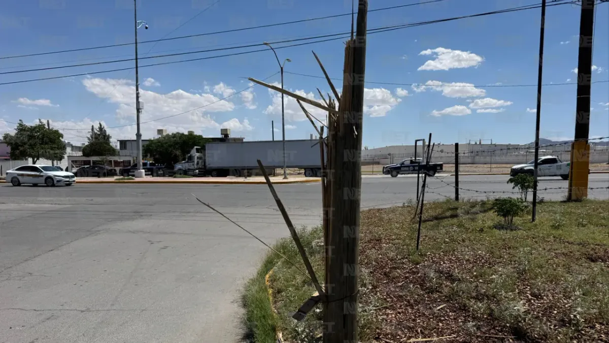 Tráiler derriba tres postes frente al Parque de la Familia