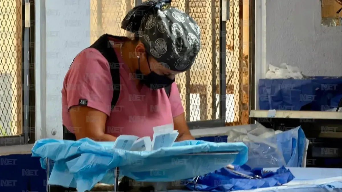 Realiza DABA campaña gratuita de esterilización en Ciudad Juárez