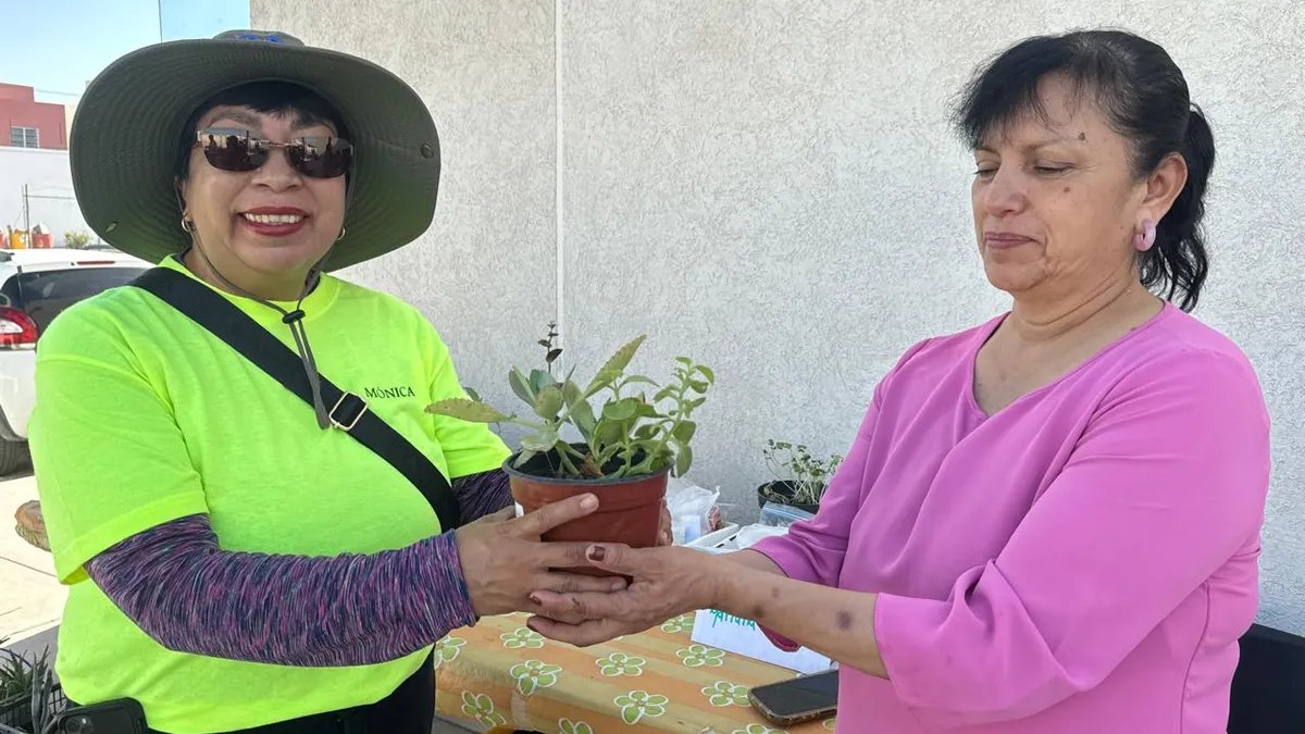 Invitan a intercambio gratuito de plantas y semillas en Valle del Sol