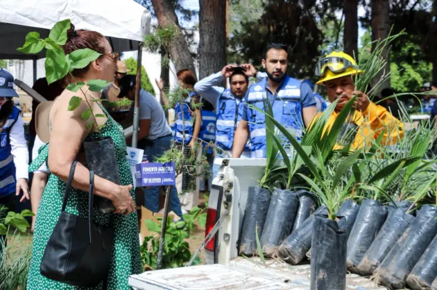 Reparte SDR árboles y semillas a más de 800 personas en Chihuahua