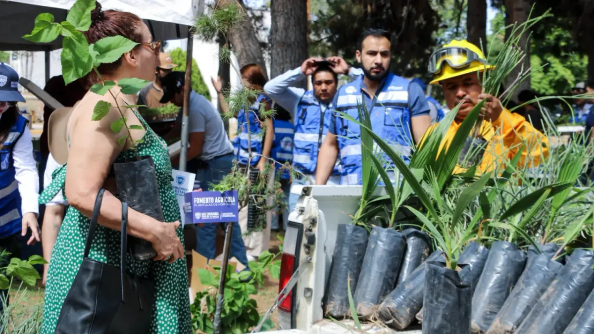 Reparte SDR árboles y semillas a más de 800 personas en Chihuahua