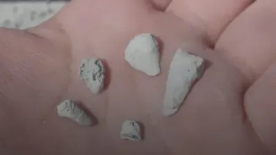Madres buscadoras reportan hallazgo de mil 600 dientes de leche en fosa clandestina
