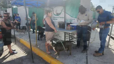 Acuden juarenses a jornada de vacunación antirrábica en dos colonias