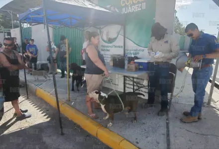 Acuden juarenses a jornada de vacunación antirrábica en dos colonias