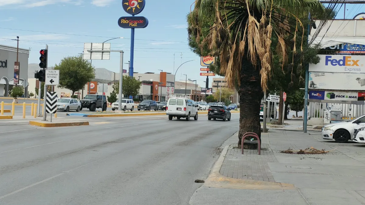 Árboles bloquean semáforos y elevan riesgo de choques en Paseo Triunfo