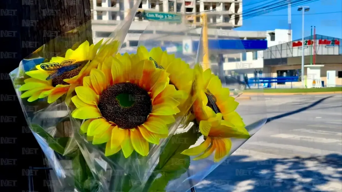 Flores amarillas llenan los cruceros de Juárez por tendencia viral