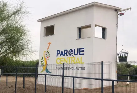 Rehabilitará Parque Central hábitat de jirafas para crear zona de protección de especies