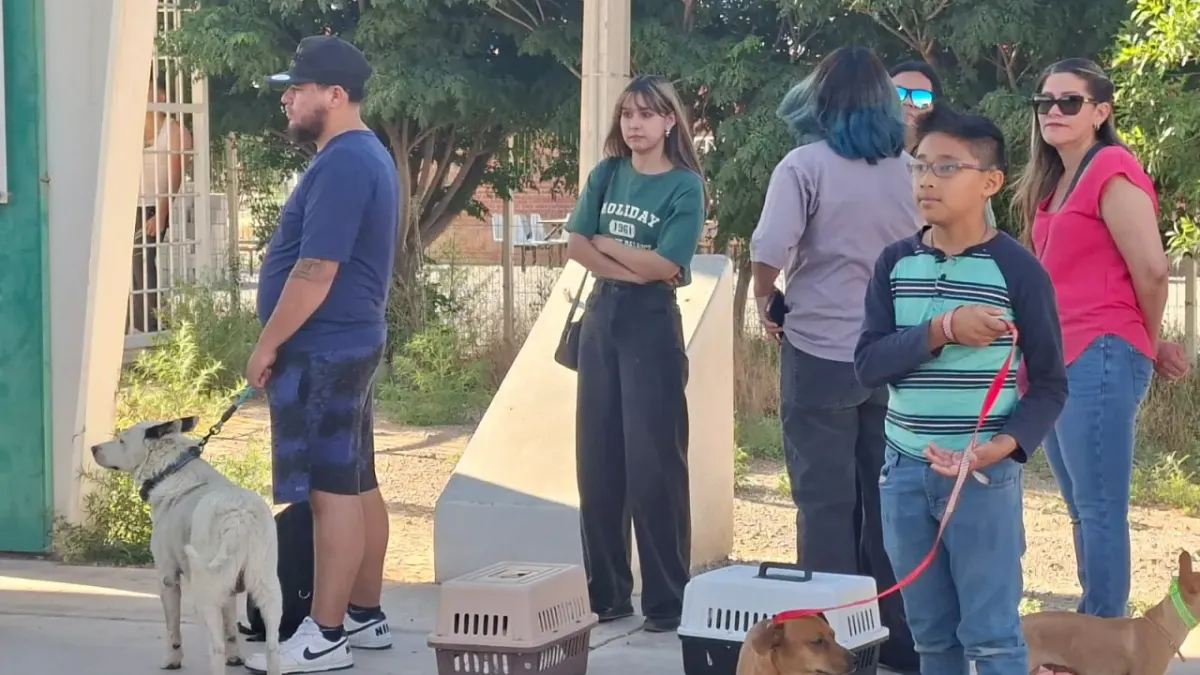 Acuden cientos a jornada de esterilización gratuita de mascotas