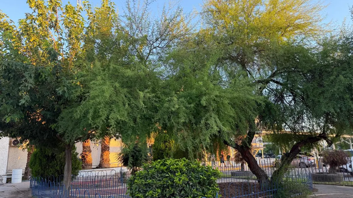 Protección Civil alerta por lluvias y vientos en Ciudad Juárez