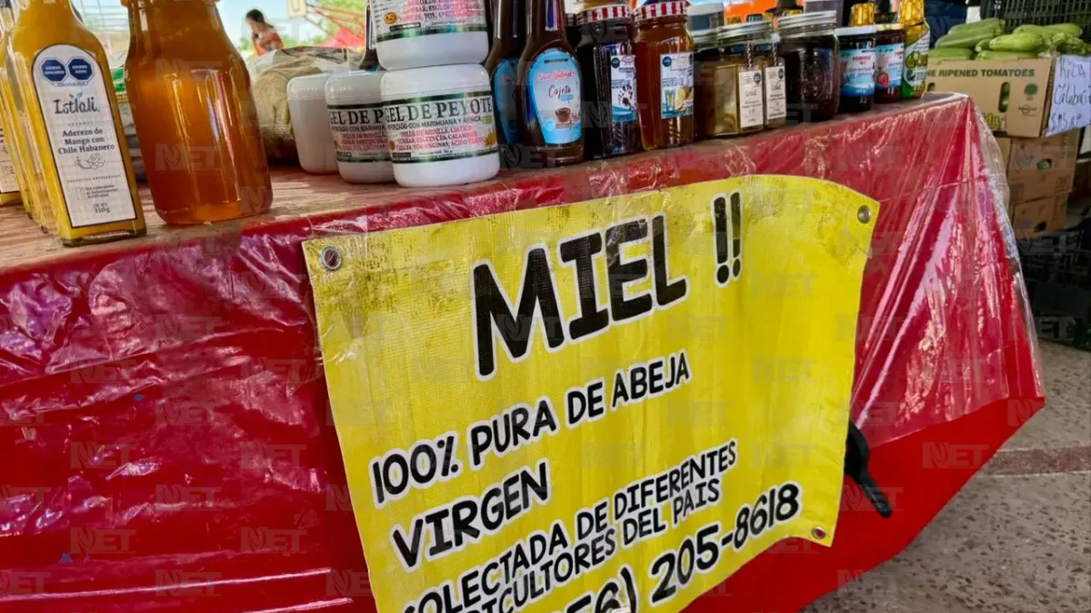 Ofrece Samalayuca Fest su último día de actividades este domingo