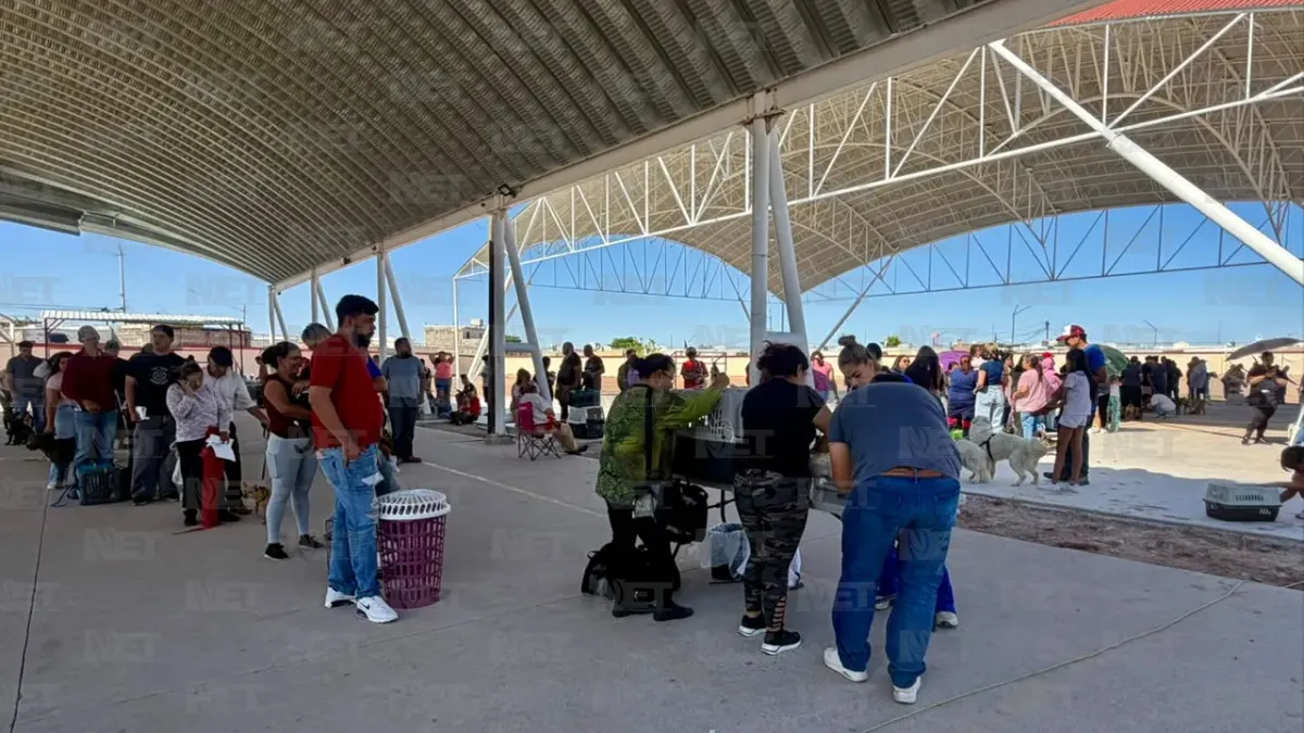 Realiza DABA jornada gratuita de esterilización en Praderas del Sol