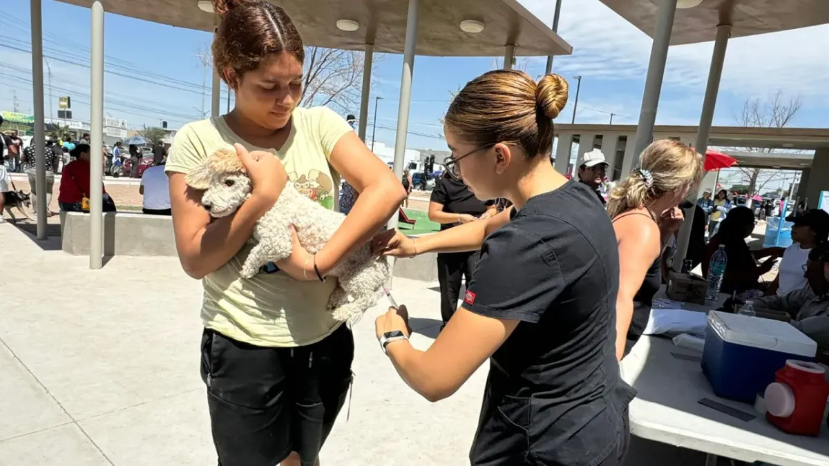 Invita Salud estatal a jornada de vacunación antirrábica para mascotas