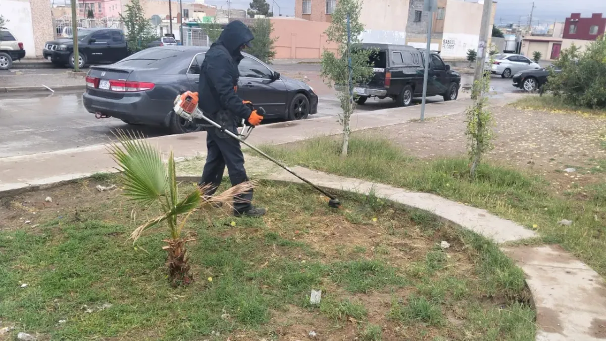 Mejoran imagen de parque en Horizontes del Sur