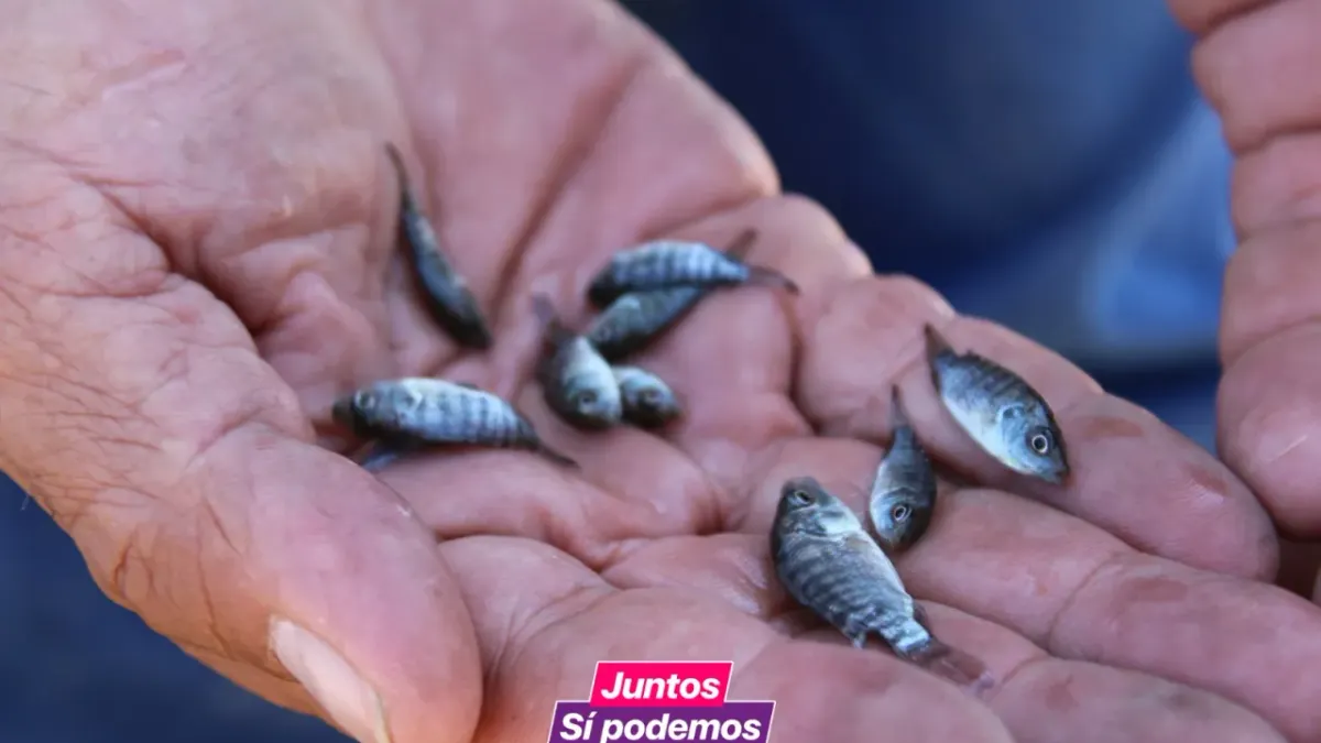 Chihuahua: Buscan que emerja la actividad acuícola y pesquera