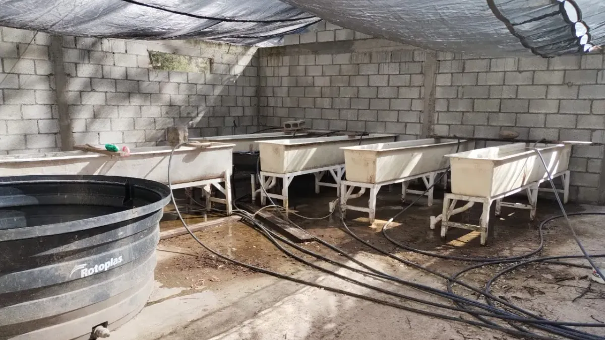 Chihuahua: Buscan que emerja la actividad acuícola y pesquera