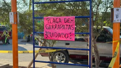 Rickettsiosis alcanza hasta 50% de mortalidad en Chihuahua