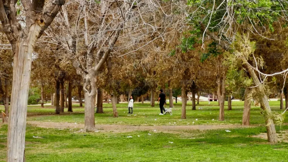¡Atención! Si vas a El Chamizal en Pascua, No hagas esto