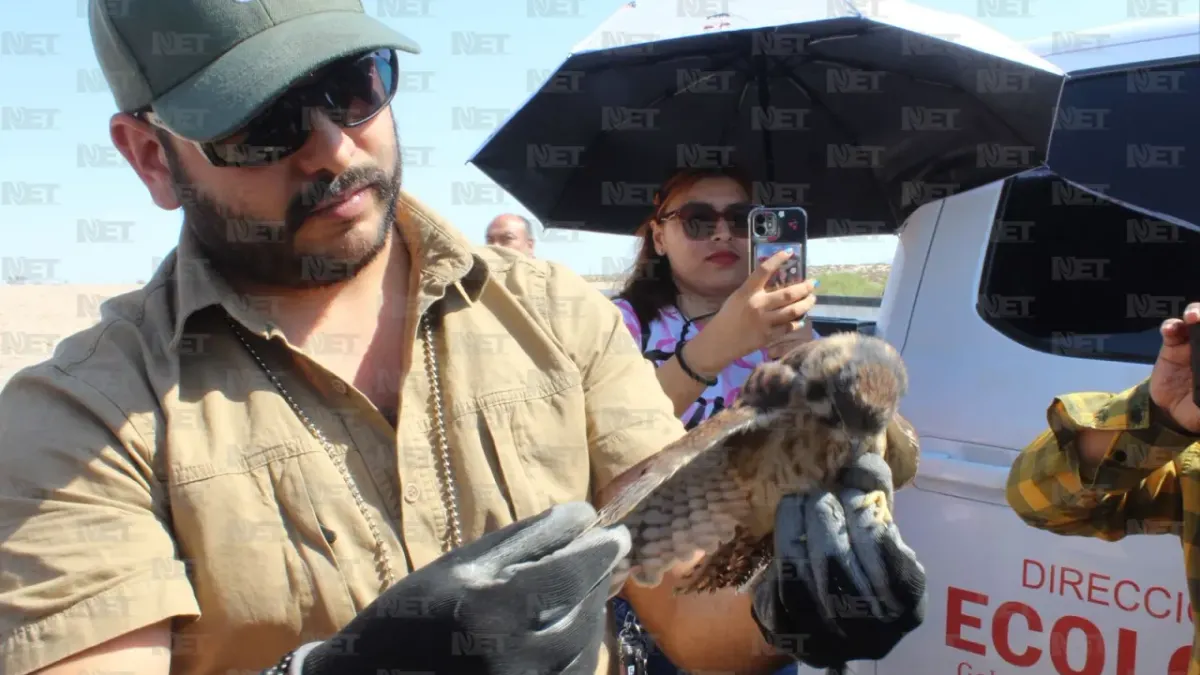 Fotos: Zorrito regresa a su hábitat