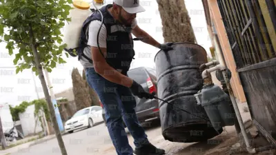 Contratará Ecología personal para agilizar fumigaciones