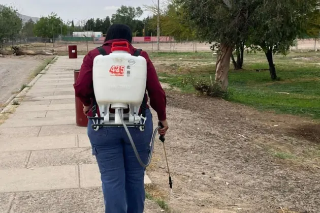 Fumigarán 17 colonias de Juárez para prevenir casos de rickettsia