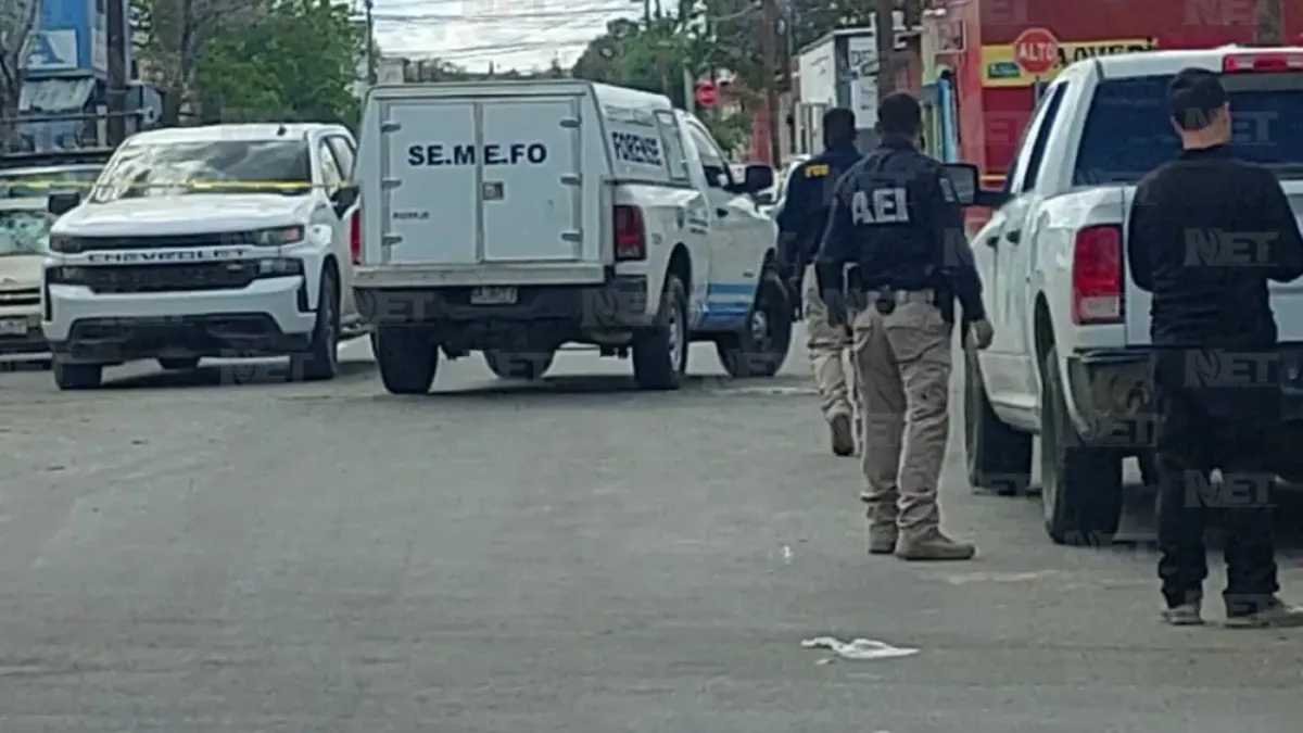 Agente canino encontró cuerpos enterrados en cateo en Juárez
