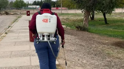 Dirección de Ecología realizará fumigación gratuita en Samalayuca