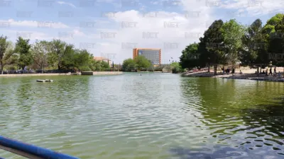 Rehabilitación del Parque Central incluirá iluminación y más de 6 mil árboles