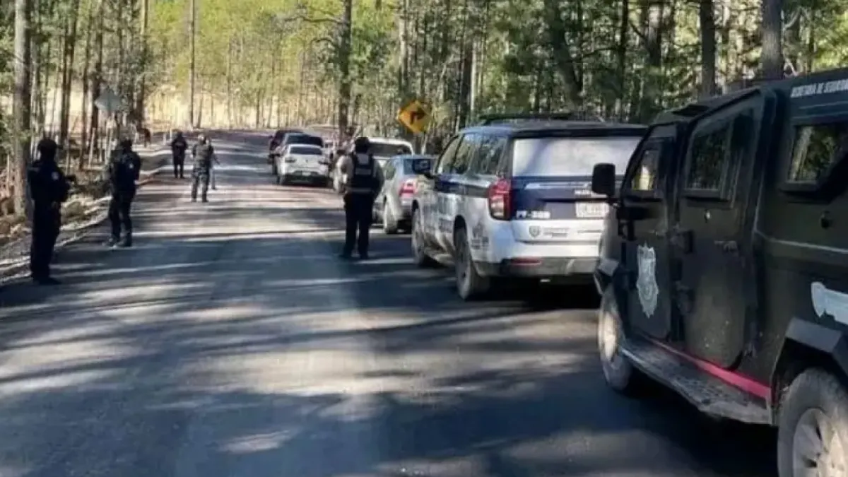 Identifican a tres víctimas mortales en Guadalupe y Calvo