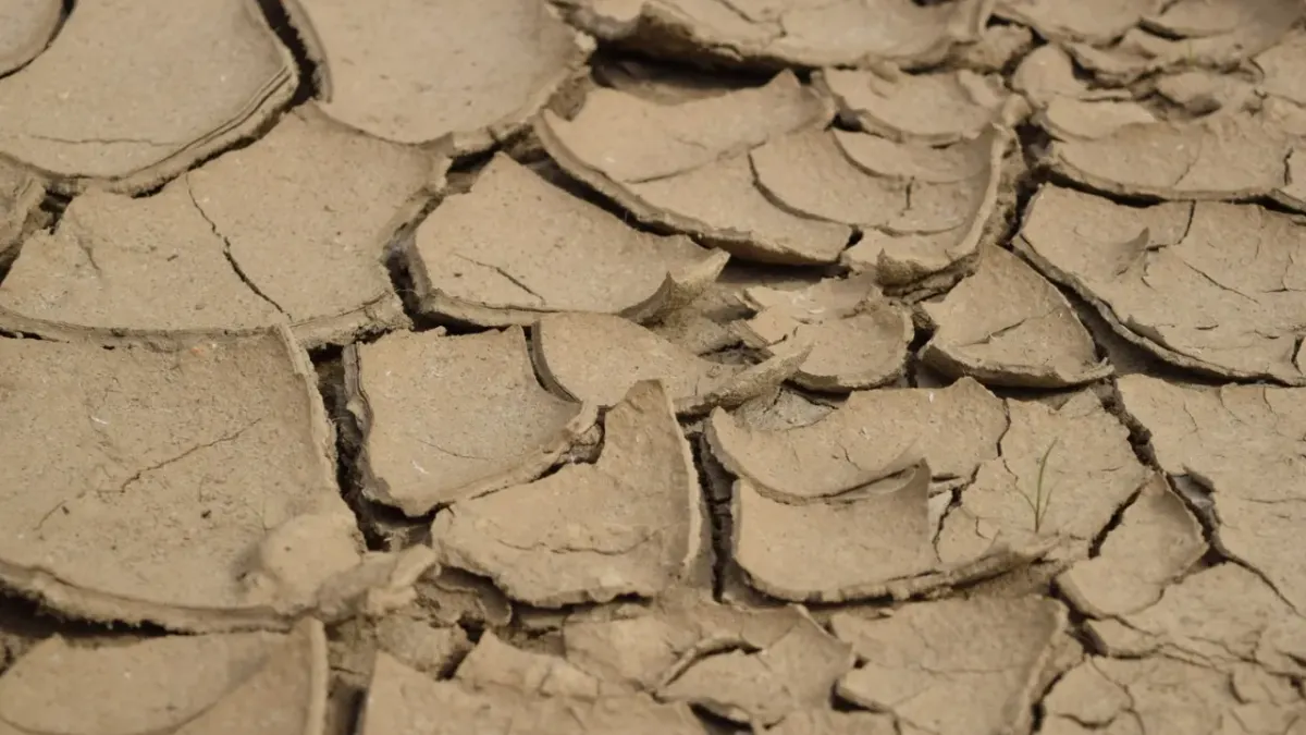 Reduce Juárez su nivel de sequía; ahora se prepara para el calor