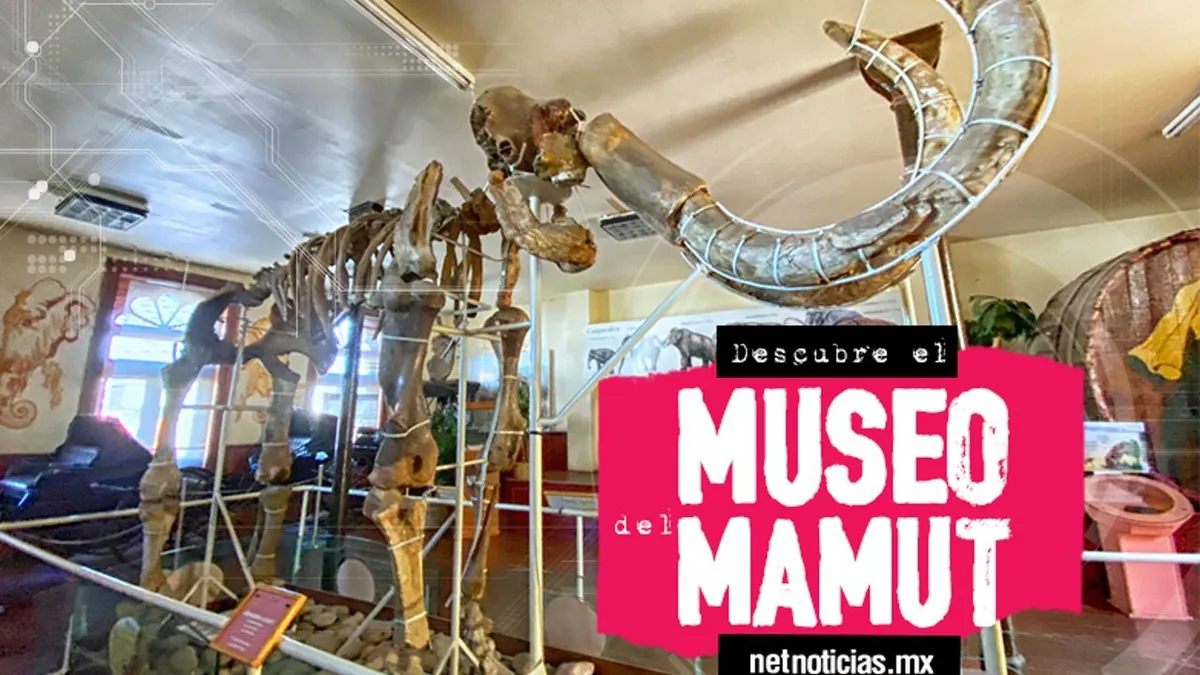 Viaja al pasado en el museo del mamut