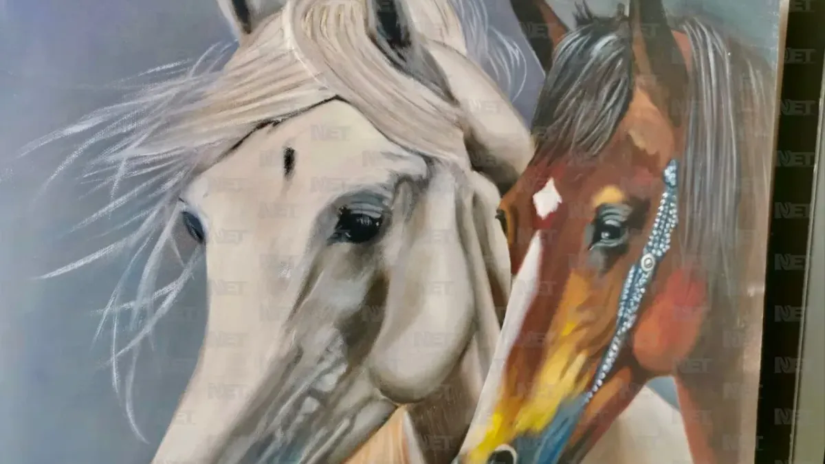 Invita a exposición 'Reflejos del Alma' en el Museo de El Chamizal