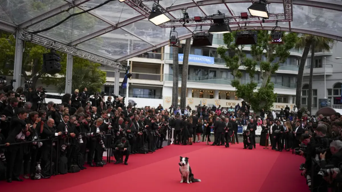 El perro Messi llega a Cannes