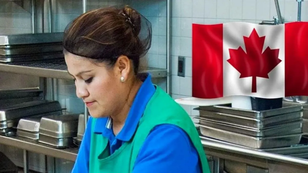 Buscan mexicanos en Canadá; pagarán 75 mil dólares al mes