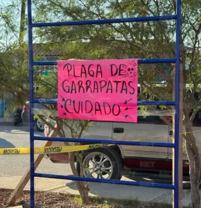 Rickettsiosis alcanza hasta 50% de mortalidad en Chihuahua