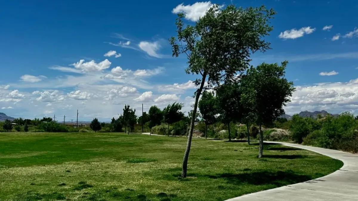 Las Cruces: Investigan homicidio de hombre