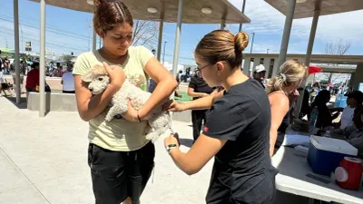 Invita Salud estatal a jornada de vacunación antirrábica para mascotas