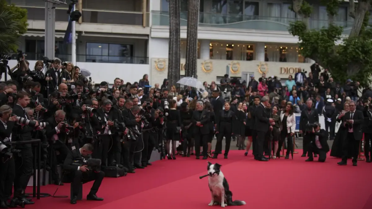 El perro Messi llega a Cannes