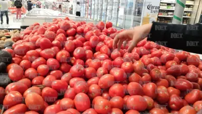 Prevén que baje el precio del tomate en próximas semanas
