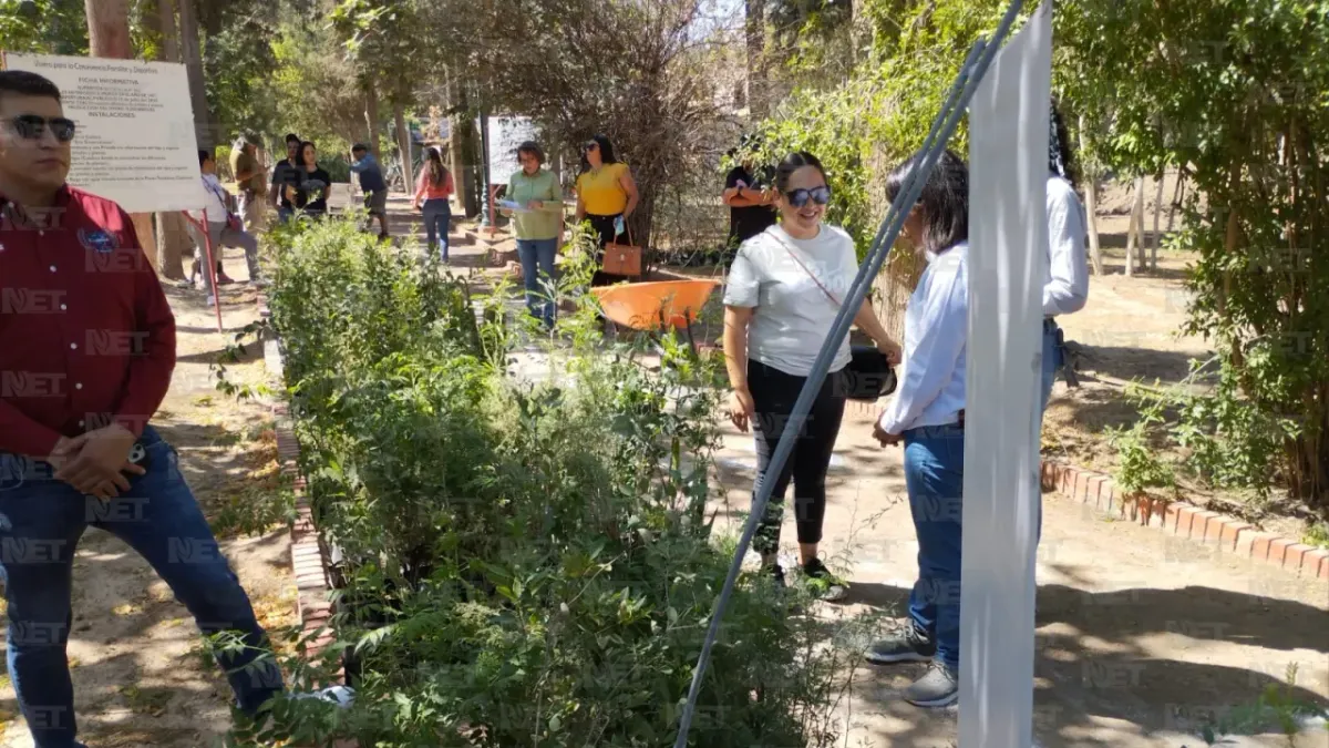 Juárez: Donan árboles para reforestar 85 escuelas