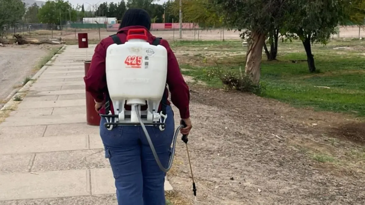 Dirección de Ecología realizará fumigación gratuita en Samalayuca