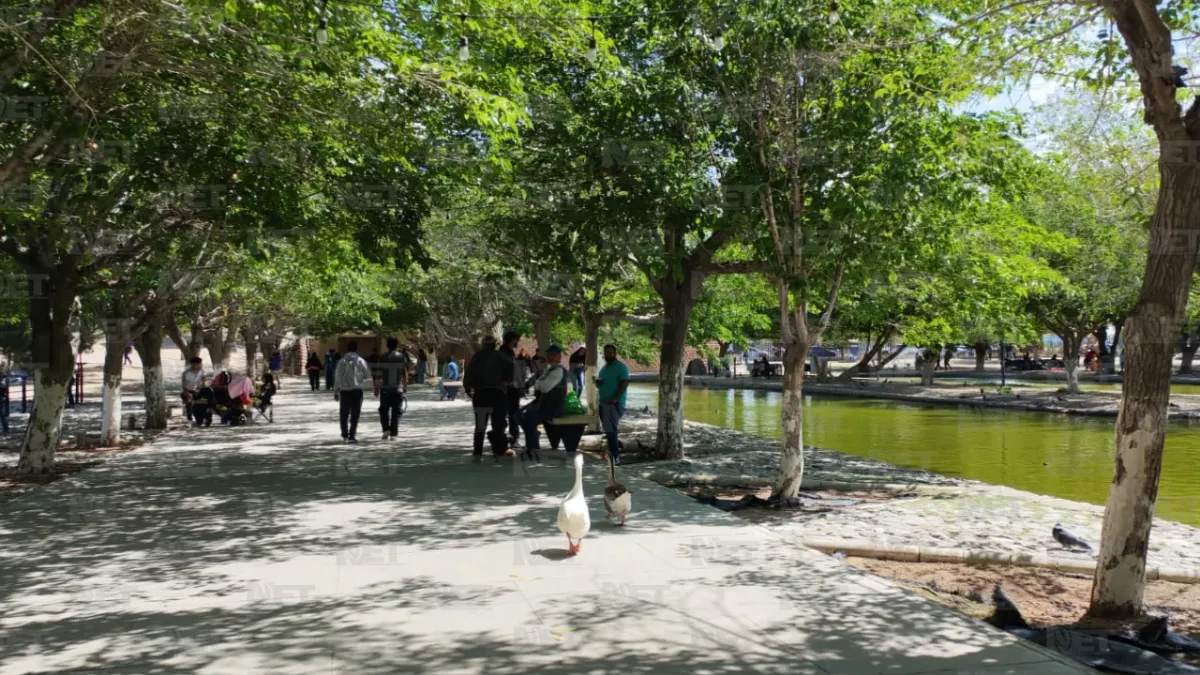 Piden no abandonar mascotas en el Parque Central; registran más de 15 casos